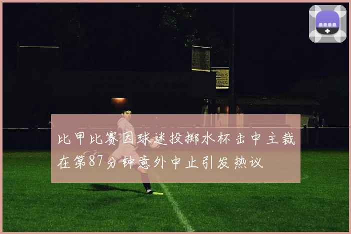 比甲比赛因球迷投掷水杯击中主裁在第87分钟意外中止引发热议